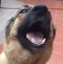 aaa