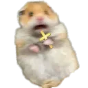 1OhMyLawd