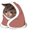Cat Blanket Discord Emoji