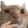 thinkcat