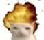 cat_explode