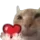 lovecat
