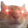 lasercat lasercat