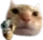 guncat