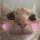zcuteblushcat
