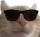 zcoolcat