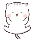 cat_YAYJUmp