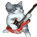 cat_guitar