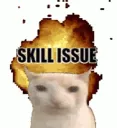 Skill_issue_tbh
