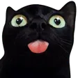 BOOP