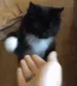 catunfive catunfive