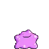 Ditto_Transform