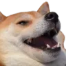 hah