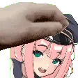 EvaPat2 EvaPat2
