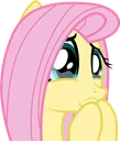 fluttercry fluttercry