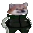 Swagdoge Discord Emoji