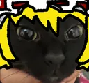 welldoneflandre welldoneflandre