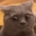 icyhuh