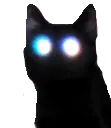 1blackrose99cat3 Discord Emoji