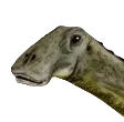 Nigersaurus