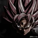 zai_stare1