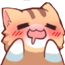 catgasm