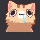 StupidCat