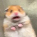 scaredham