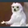 john