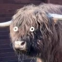 Scared Discord Emoji