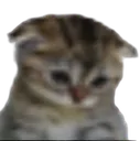 removebgpreview