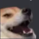 dog_woof Discord Emoji