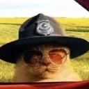 sheriff sheriff