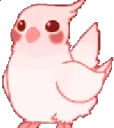 birb