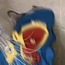 AAAWQWJWLENWAAAWWAWWWAAAAAAAAAAA