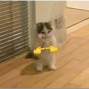 uwugatto Discord Emoji