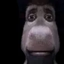 Donkey