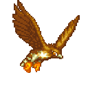 DH_hawk