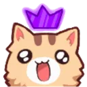 MB_kitty_lovin_purple