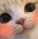 UwU