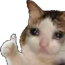 Thumbsupcat thumbsupcat Discord Emoji