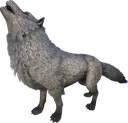 Direwolf