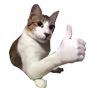 thumbcat