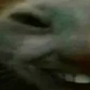 xdd1