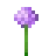 purpleflower