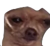breh