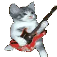 catguitar