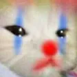 ClownCatSad