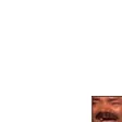 perish