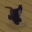 2gatobreakdance Discord emoji